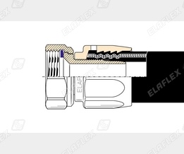 M19-1 Cr Schnitt M19-1 Cr Schnitt
