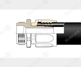 V19-1 Cr Schnitt V19-1 Cr Schnitt