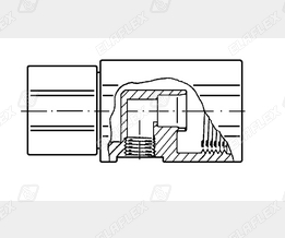 ZAF2 Mutter cr Schnitt ZAF2 Mutter cr Schnitt