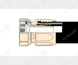 M19-1 Ms Schnitt M19-1 Ms Schnitt