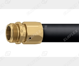 V19-1 Ms cgi V19-1 Ms cgi