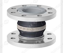 ERV-W80-16 ERV-W80-16